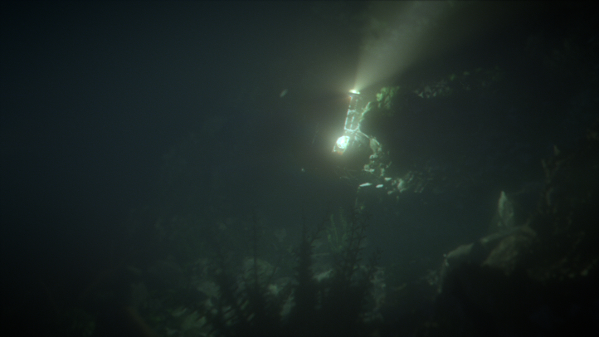 TatortWahre Lügen VAST